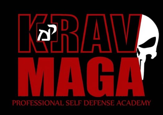 //www.professional-kravmaga.it/wp-content/uploads/2020/10/logopsda-e1604746206218.jpg